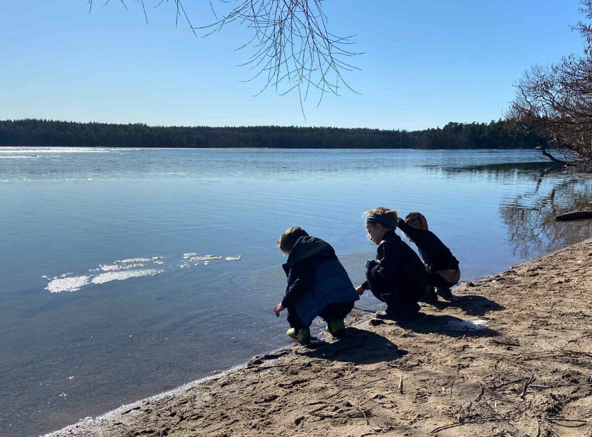 Vårens första skogsutflykt